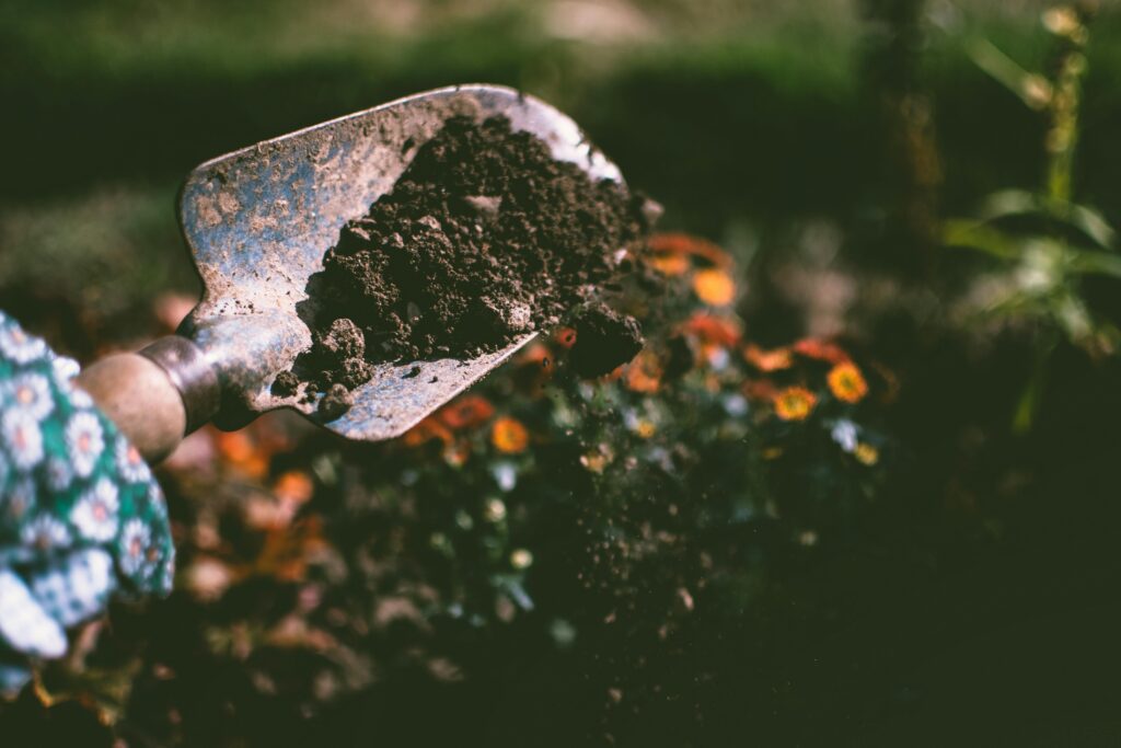 Homemade organic soil mix with compost, sand, and garden soil
