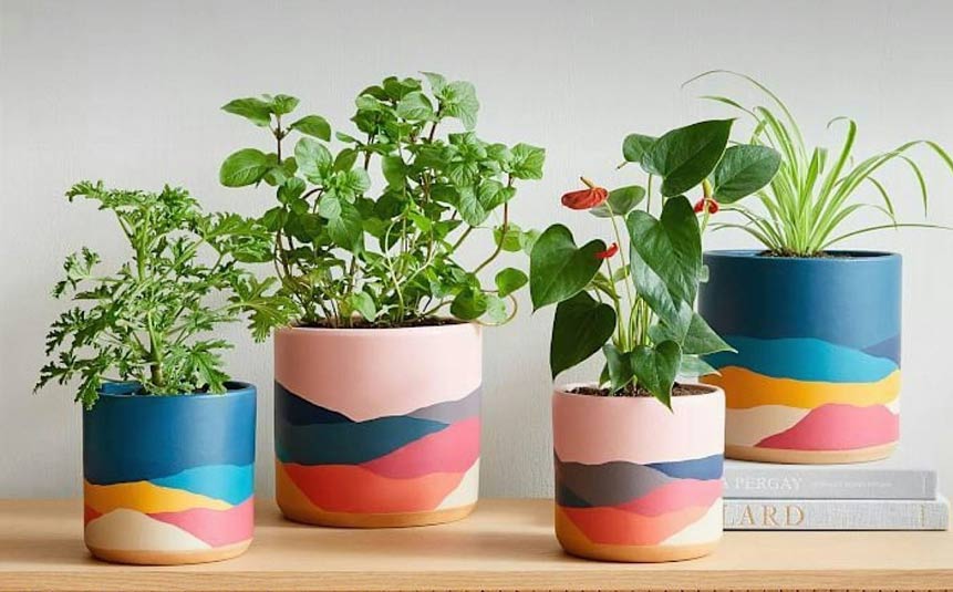 Colorful DIY painted plant pots with indoor plants