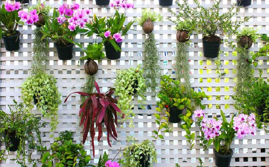 Living wall of indoor plants in mounted shelves and hanging planters