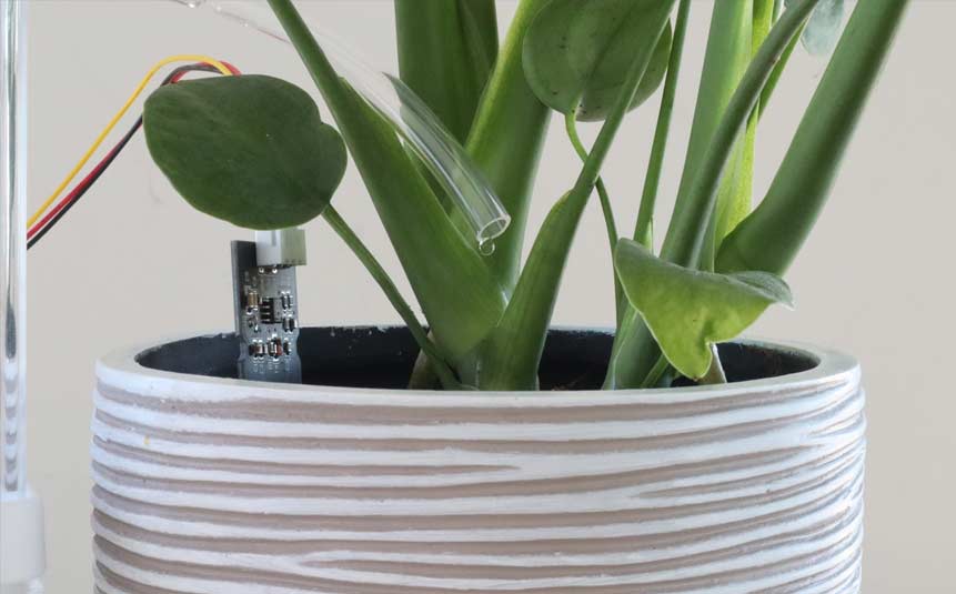 Smart plant sensor inserted in a potted plant indoors